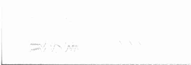 Doğulu Mavi Ardıç - ML615973437