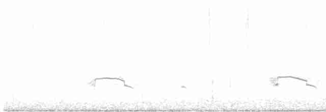 アメリカマダラウミスズメ - ML615974602