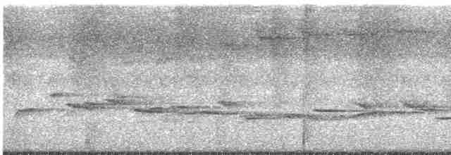 Streifenbrust-Erddrossling - ML615979531