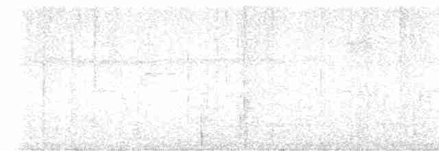 Kısa Gagalı Kızılca Güvercin - ML615979565