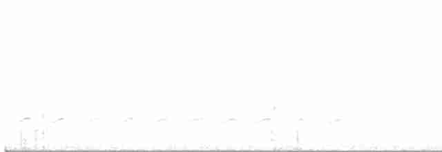 Weißbrustkleiber - ML615980900