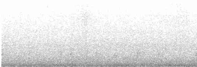 Gray-breasted Wood-Wren - ML615981349