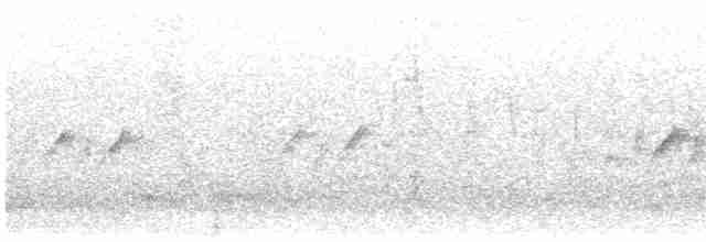 langhalemønjefugl - ML615981431
