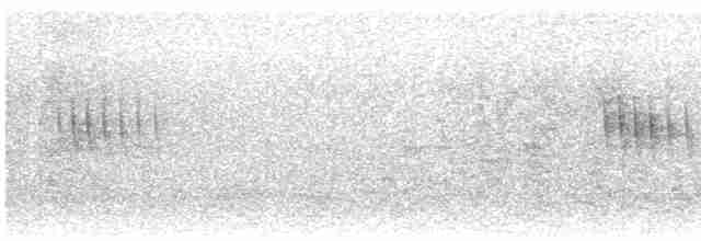 Weißbrauenschnäpper - ML615981632