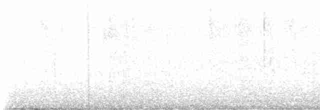Weißkehldrossel - ML615981637