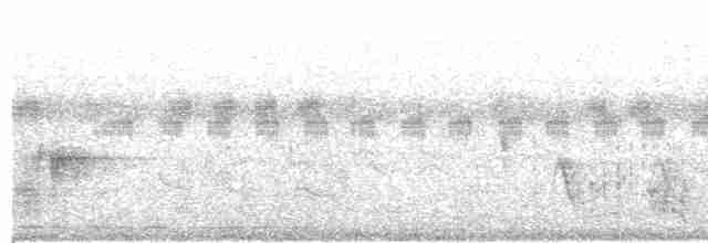 Black-browed Reed Warbler - ML615983071