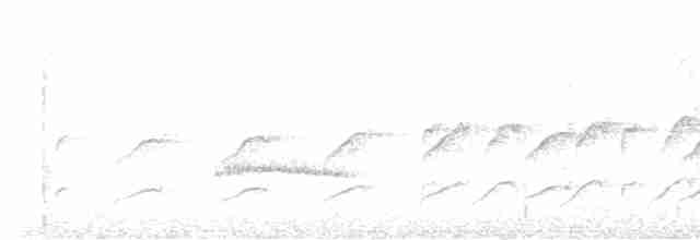 Grallaire de la Perija - ML615987537