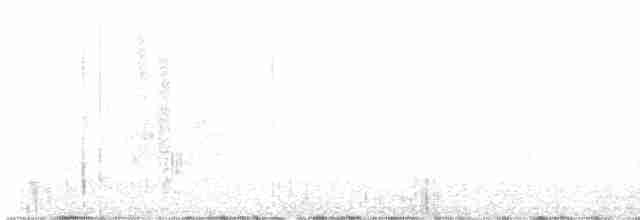 Grallaire de la Perija - ML615987556