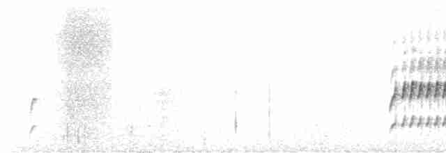 Mérulaxe de la Perija - ML615987784