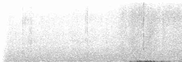 Сова плямиста - ML615989946