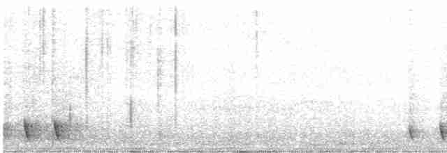 Gray Nightjar - ML615991973