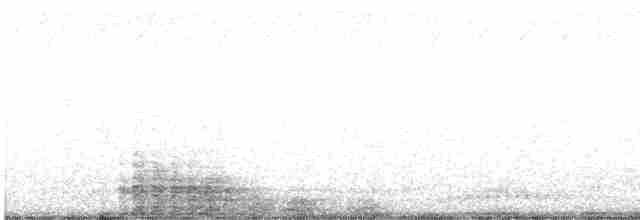 Grand Cormoran (sinensis/hanedae) - ML615992442