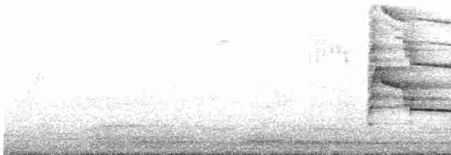 Indienhornvogel - ML615993876