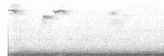 White-throated Treerunner - ML615995732