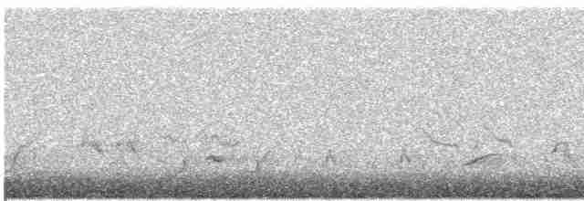 Büyük Yerkoşarı - ML615996511