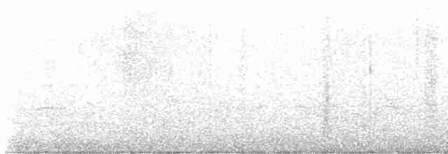 Black-crested Titmouse - ML615998321