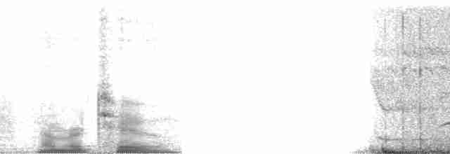 orel proměnlivý (ssp. cirrhatus/ceylanensis) - ML616
