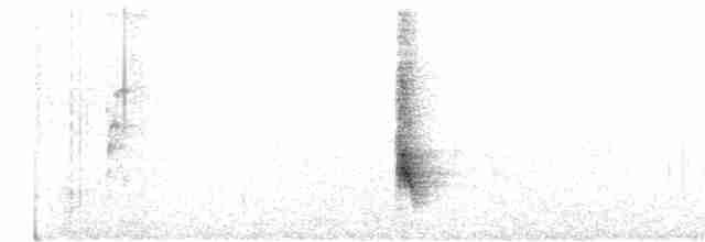 Long-tailed Meadowlark - ML616000238