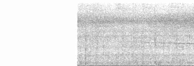 Мурав’янка-куцохвіст гвіанська - ML616000445