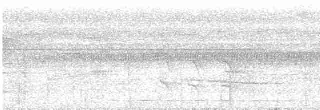 svarthakemaurvarsler - ML616000952