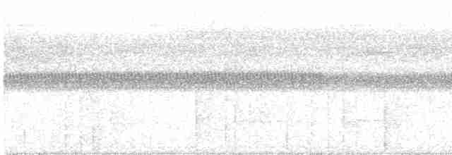Aschgrau-Ameisenfänger - ML616000997