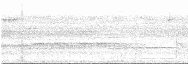 svarthakemaurvarsler - ML616001286