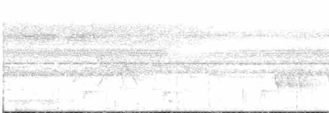 svarthakemaurvarsler - ML616001501