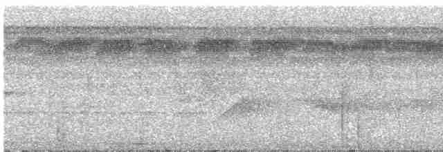 holub šedorůžový - ML616001742