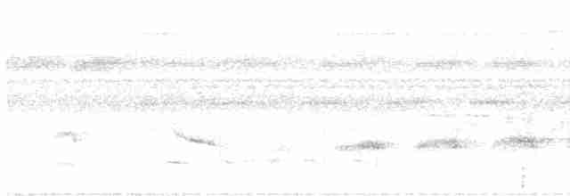 White-flanked Antwren - ML616002011