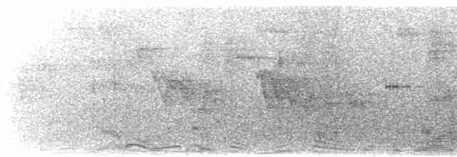 Черногорлая сорокопутовая танагра - ML616004325