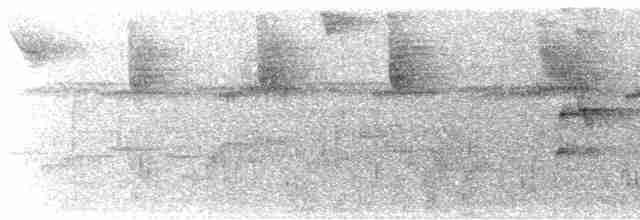 arassari pestrý [skupina torquatus] - ML616004958