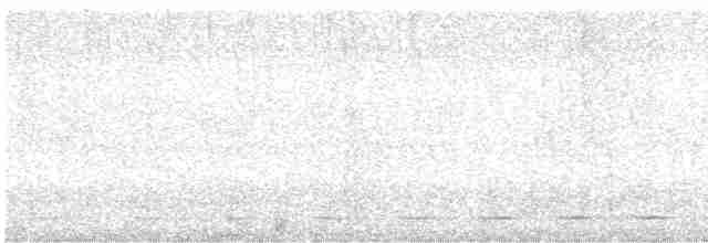 Streifenbrust-Ameisendrossel - ML616005428