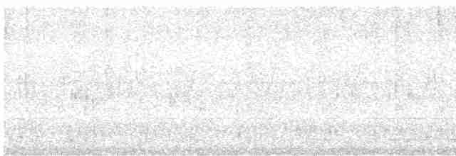 Streifenbrust-Ameisendrossel - ML616005429
