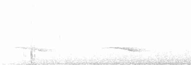 Серошапочный сорокопутовый виреон - ML616005845
