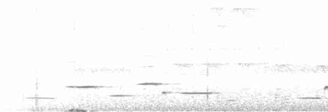 Troglodyte arada - ML616005931