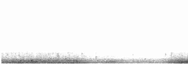 Триперстка тонкодзьоба - ML616006162