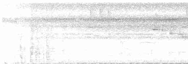 Undulated Tinamou - ML616006502