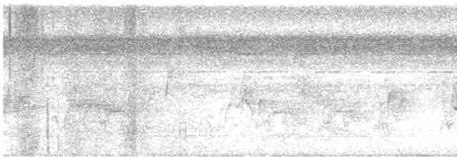 Мурав’янка-прудкокрил перуанська - ML616006521