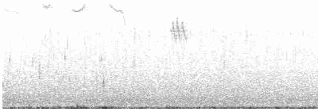 Омелюх звичайний - ML616012462