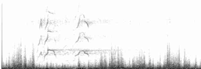 Yeni Zelanda Kara Poyrazkuşu - ML616013203