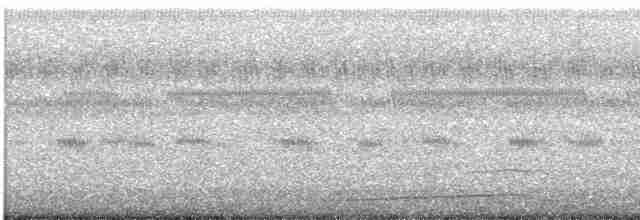 Eastern Screech-Owl - ML616014106