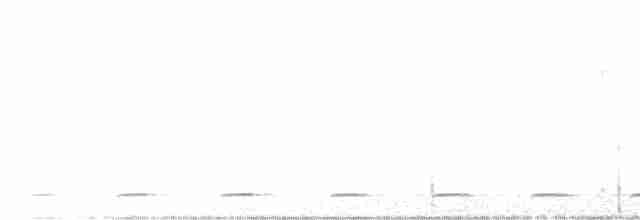 アメリカキンメフクロウ - ML616015518