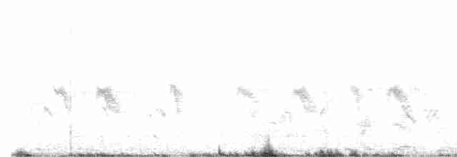 Schwarzstirn-Schneegimpel [tephrocotis-Gruppe] - ML616015525