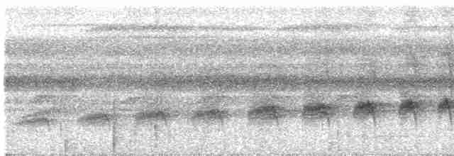 svarthakemaurvarsler - ML616015657
