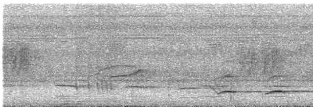 tukan rudozobý - ML616015773