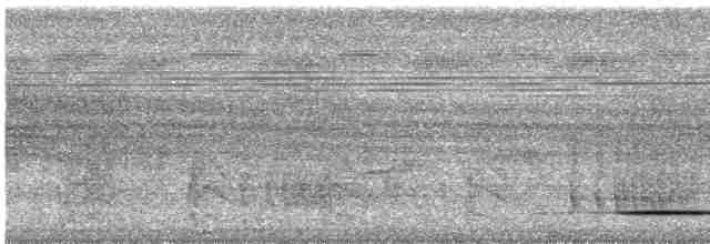 Undulated Tinamou - ML616015791