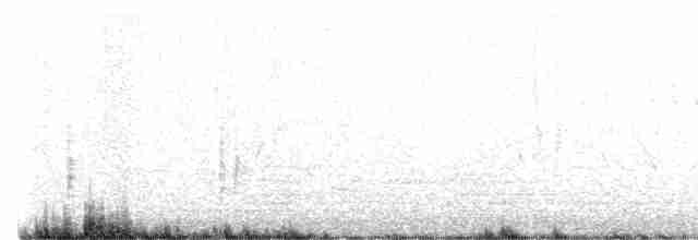אנפית-גמדית אמריקנית - ML616016180
