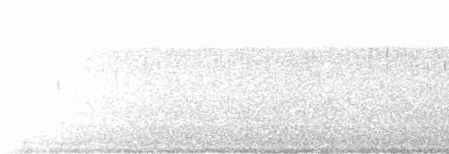 Mirlo Acuático Norteamericano - ML616017560