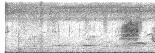 Горобцеподібні sp. (Old World warbler sp.) - ML616017611