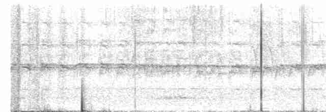 Дятел-куцохвіст чорночубий - ML616017776